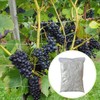 2-Pack Plant Trellis Netting – 5 x 15 ft Polyester