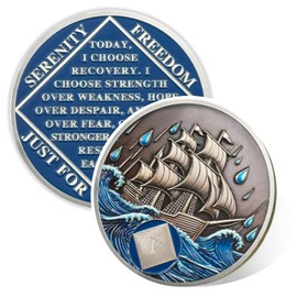 Braving The Storm 5 Year Sober Coin, Nautical NA Coin, Addiction Recovery Five Year Sober Chip, Celebrating Recovery Anniversary Token, Narcotics Anonymous Sobriety Gifts for Men Women