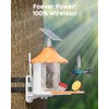 Hiseeu Bird Feeder with Camera, 2.5L Large Capacity, AI Identify