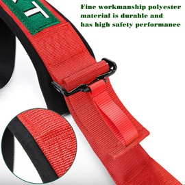 DING.PAI 5 Point Racing Harness SFI Certified with Ultra Heavy Duty 3 Inch Shoulder Pad Quick Release Cam Lock Latch Mechanism Fit Sports car Go-Kart Racing Car UTV ATV(Red)