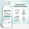 Garnier Micellar Water with Salicylic Acid, All-in-1 Mattifying Facial Cleanser