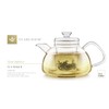 Teabloom Innovative Filtered Borosilicate Glass Teapot With Microdot Loose Tea