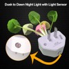 [2 Pack] UTLK Plug in LED Mushroom Night Light Lamp