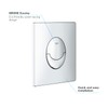GROHE 38505000 | Skate Air WC Wall Plate