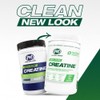 PVL 100% Pure Creatine | Creatine Monohydrate Micronized Powder |