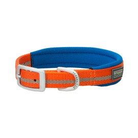 Terrain D.O.G. Reflective Neoprene Lined Dog Collar, 15" (13-16 in., 3/4 in. width), Orange