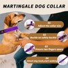 Martingale No Pull Dog Collar for Large Medium Small Dogs,