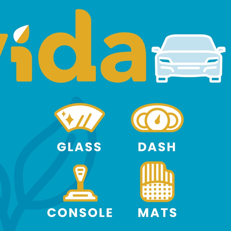 Carvida Vinegar Cleaner, Plant-Based, Multi-purpose Automotive Cleaning Spray, Natural Mint