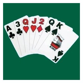 ASF Lightware Solutions [4 Decks] Beam N Read High Visibility Playing Cards with Extra Bold Print for Low Vision, Bridge Size