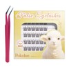 Pokolan Lamb, 36 Bundles, Partial Eyelashes, False Eyelashes, No Glue,