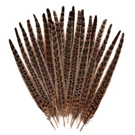 MAOFENG 12pcs Natural Feathers Female Ringneck Pheasant Tails Feathers 12-14inch 30-35cm for Crafts Wedding Party Performance Home DIY Decoration,Female Pheasant Feathers