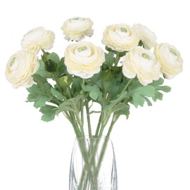 IPOPU Cream White Ranunculus Artificial Flowers 8PCS Silk Ranunculus Flowers Faux Ranunculus Flowers for Wedding Bouquets Centerpiece Floral Party Home Office Decor (Cream White)