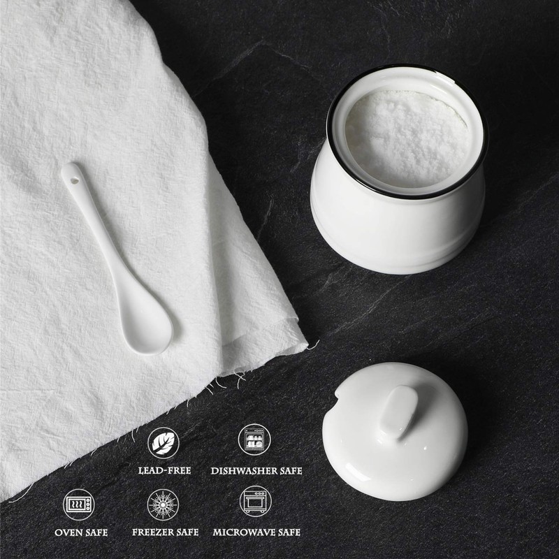 HAOTOP Porcelain Salt Bowl with Lid and Spoon,Ceramic Sugar Bowl