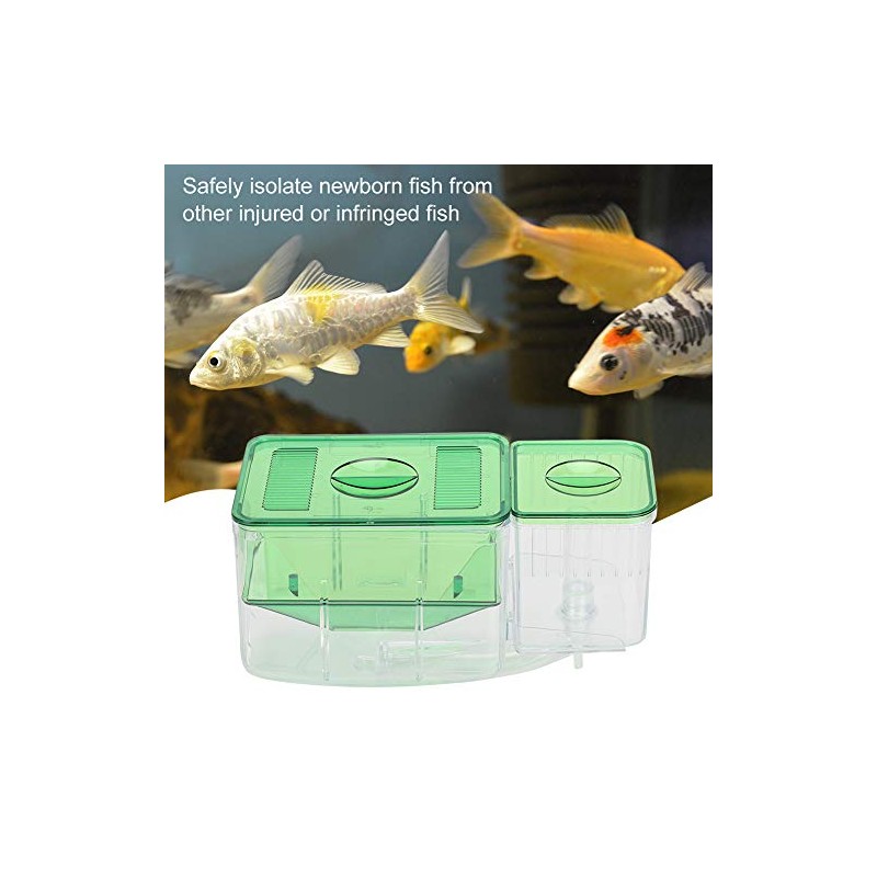 Fish Breeding Box, Acrylic Fish Hatchery Isolation Box Double Layer