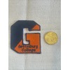 Gettysburg College bullets￼ Vintage Embroidered Iron On Patch 2.5” X