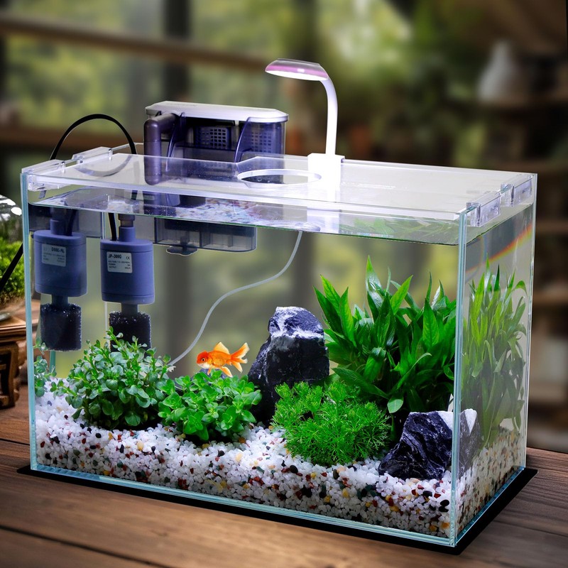 3 Gallon Glass Small Fish Tank, Betta Fish Tank Starter