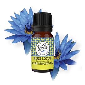 Wild Essentials Blue Lotus Absolute 100% Pure Essential Oil - 10ml, Premium Grade, Made and Bottled in The USA, Calming