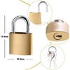 PLABBDPL 2 x Small Padlocks with Keys, Suitcase Lock Mini