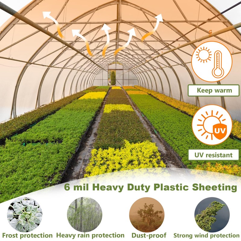 Greenhouse Plastic Sheeting, 24 x 25ft 6 mil Clear Greenhouse