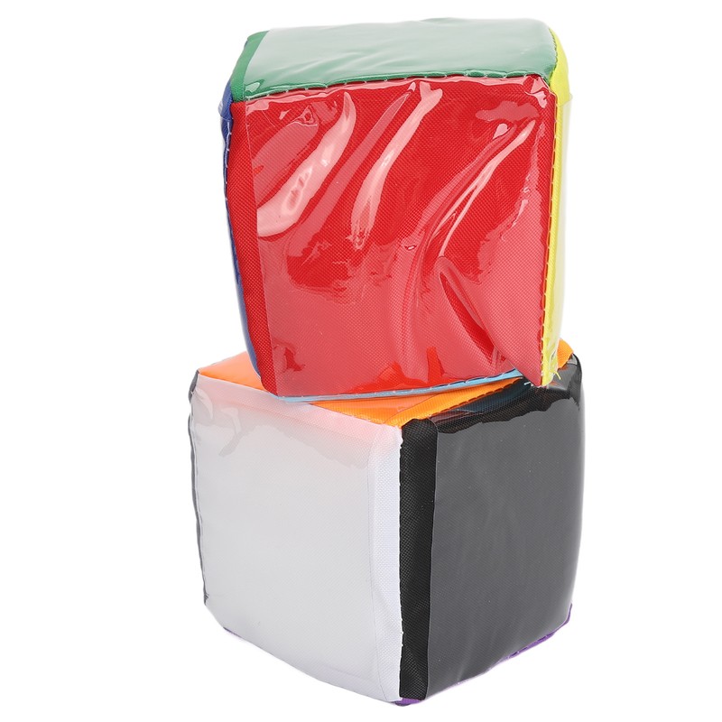 2pcs DIY Education Playing Game Dice with Clear Pocket Early