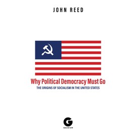 Why Political Democracy Must Go: The Origins of Socialism in the United States