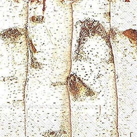 Ideal Home Range - Servilletas de cóctel, 20 unidades, abedul