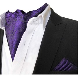 CANGRON Men Purple Paisley Ascot Tie Cravat & Pocket Square Set LJP2ZI