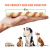 Pork Chomps Baked Pork Skin Dog Chews, 5-inch Mini Twists,