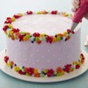 Wilton Decorator Preferred Cake Decorating Set, 48-Piece