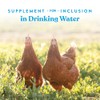 Manna Pro Hydro-Hen Poultry Electrolyte & Probiotic Supplement, Hydration Support