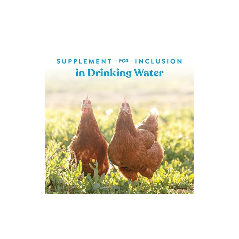 Manna Pro Hydro-Hen Poultry Electrolyte & Probiotic Supplement, Hydration Support