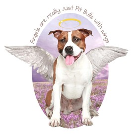 CafePress Pit Bull Angel Throw Blanket Super Soft Fleece Plush Throw Blanket, 60"x50"