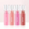 Amuse Gel Fit Tint Mini Special 4-Piece Set (AD) / 어뮤즈 젤핏 틴트 미니 기획 4종세트 (AD)