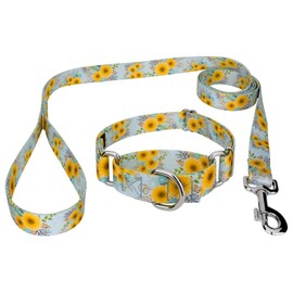 Country Brook Petz - Sunny Days Martingale Dog Collar and Leash - Spring Collection Featuring Springtime Designs (5/8 Inch, Small)