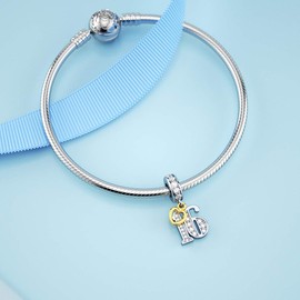 DALARAN 16 Years of Love Silver Dangle Charm for Women Bracelet Necklace Sterling Silver 16 Number Happy Birthday Charm CZ
