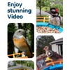 LongPlus Bird Feeder with Camera, Smart Solar Hummingbird Feeder for