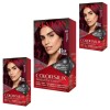 Revlon 3 PACK - REVLON COLORSILK 565 TINTE PARA CABELLO