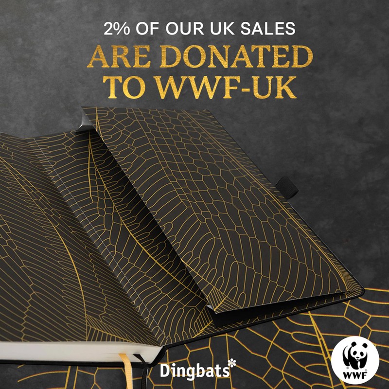 Dingbats* - Pro B5 Dotted Large Notebook with Gift Box