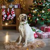 ADOGGYGO Christmas Dog Collar, Cute Christmas Tree Xmas Dog Collars