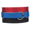 Guardian Gear Nylon Martingale Dog Collar, Fits Necks 14" to
