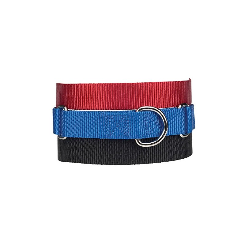 Guardian Gear Nylon Martingale Dog Collar, Fits Necks 14" to
