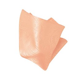 PEACH PAISLEY Design Handkerchief Pocket Square Hanky Men's Suit Scarf Hankies