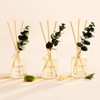 COCORRÍNA Eucalyptus Reed Diffuser Set of 3 - Eucalyptus &