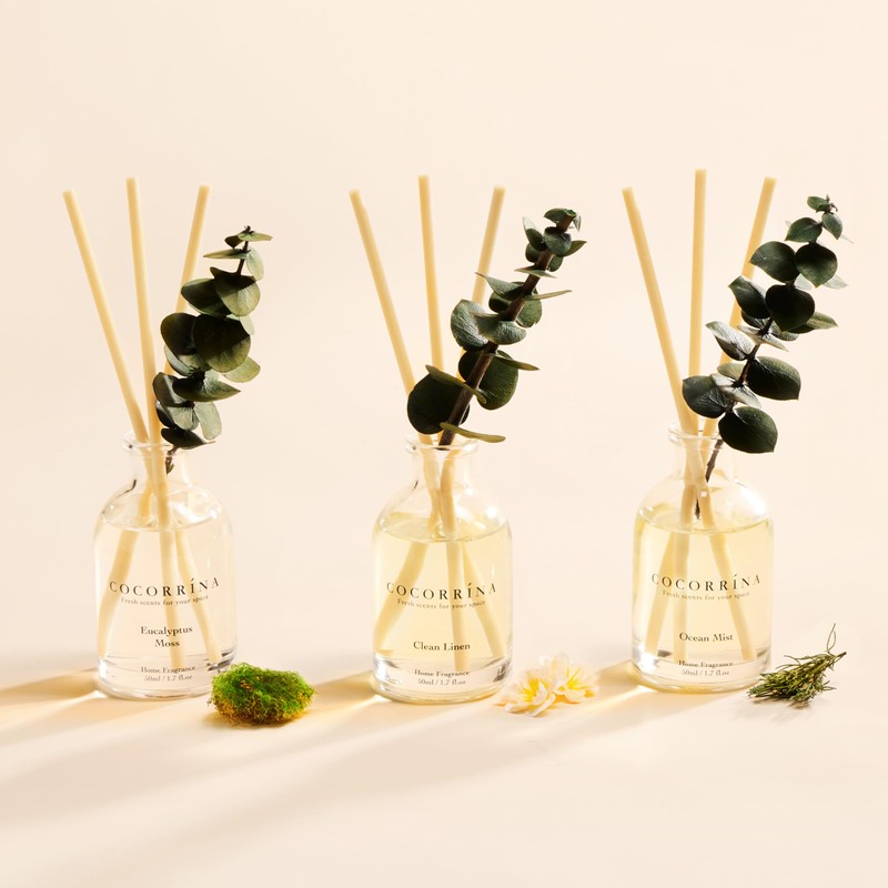 COCORRÍNA Eucalyptus Reed Diffuser Set of 3 - Eucalyptus &
