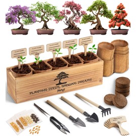 AVERGO Bonsai Tree Kit for Beginners – 5X Unique Japanese Bonzai Trees | Complete Indoor Starter Kit for Growing Bonsai Plants with Tools & Planters – Gardening Gifts for Women & Men
