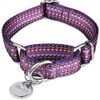 Dazzber Martingale Collars for Dogs, Adjustable, Heavy-Duty, Soft, Smooth, Easy