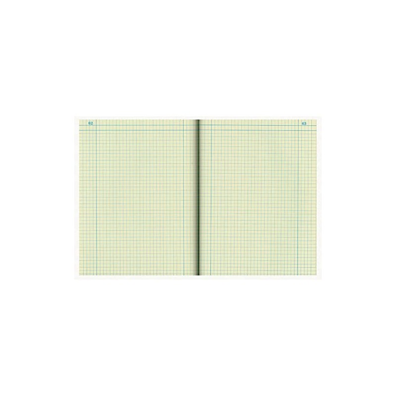 National Brand Computation Notebook, 4 X 4 Quad, Brown, Green