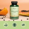Papaya Enzyme Vegavero® | 1500mg Papain | 100% Natural: Carica