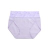 Full Type Panties, Purple, 3L Size