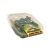 Alamo Candy -1 Count Sour Belts Peelable (Rainbow Belts)